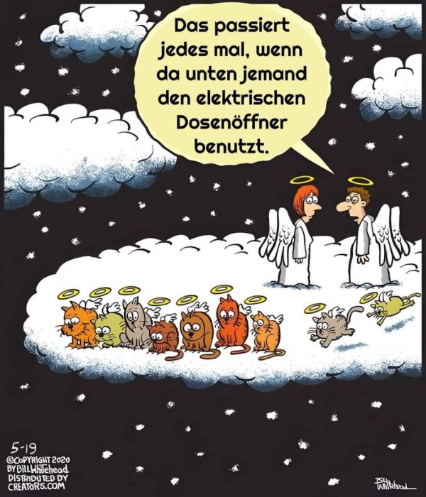 KatzenImHimmel.jpg